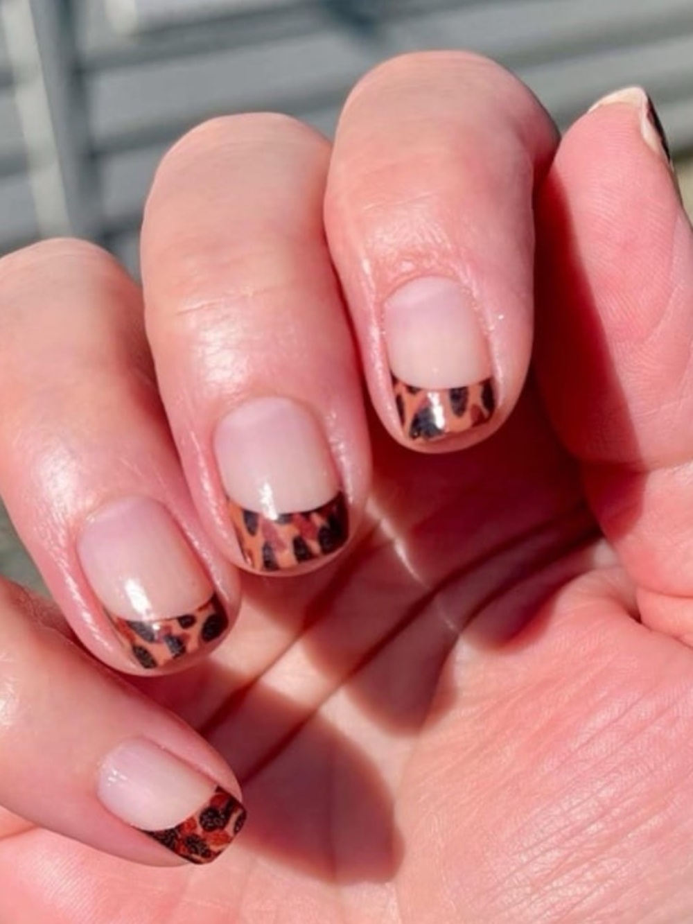 *Exclusive* Color Street: Uptown Shell | Tortoiseshell Neutral Preppy Brown Fall
